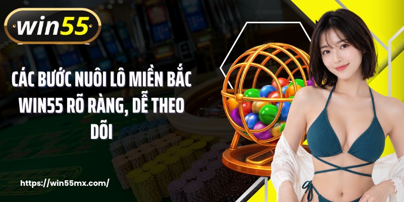 Các bước nuôi lô miền Bắc WIN55 rõ ràng, dễ theo dõi