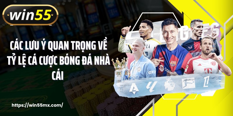 Các lưu ý quan trọng về tỷ lệ cá cược bóng đá nhà cái