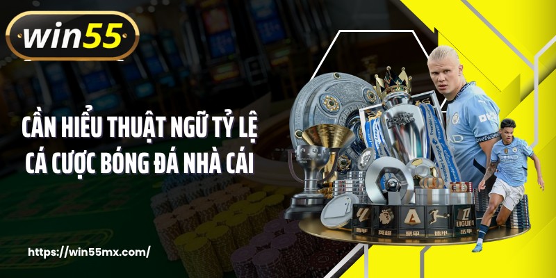 Tỷ lệ cá cược bóng đá nhà cái cần hiểu thuật ngữ